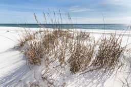 318 Island Princess ~Gulf Front 2Bed/2Bath Sleeps 6~Free Passes to Excursions - Image 2