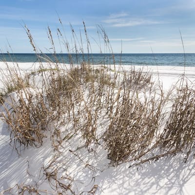 Island Princess 318~Gulf Front 2Bed/2Bath Sleeps 6~Free Passes to Excursions
