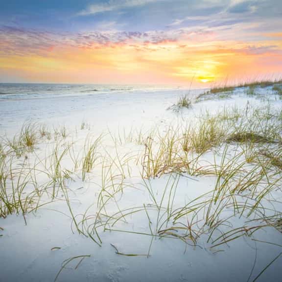 115 Island Princess ~NewBeachfrontProperty~FREE BEACHSVC~FREELOCAL ACTIVITIES - Image 1