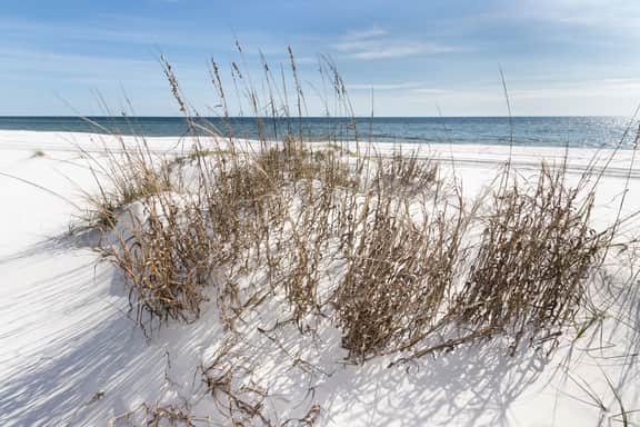 318 Island Princess ~Gulf Front 2Bed/2Bath Sleeps 6~Free Passes to Excursions - Image 2
