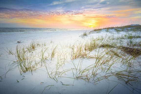 Island Princess115 ~NewBeachfrontProperty~FREE BEACH SVC~FREELOCAL ACTIVITIES